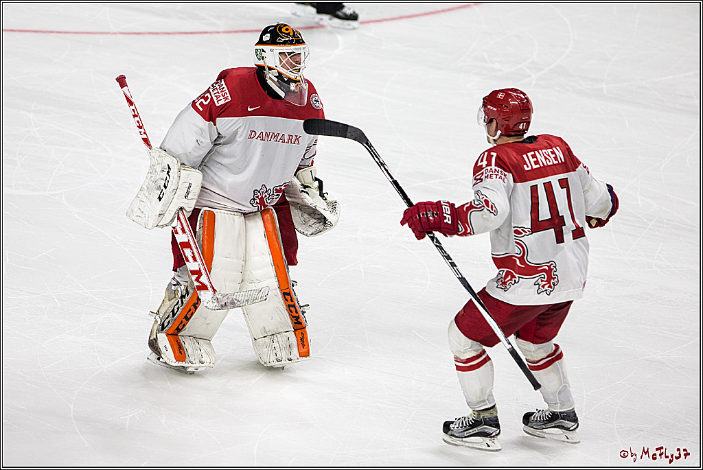 IIHF WM 2017, Slowakei - Daenemark, 09.05.2017